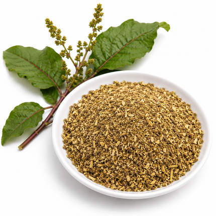 Yellow Dock Root